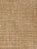 Taylor Armlehnstuhl in Beige, Detail