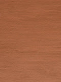 Dundee Regal Terrakotta, Detail