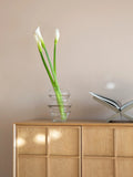 Raster Schrank Natur im Raum