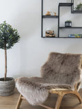 Derby Stuhl Teak/Polyrattan, natur Stuhl Living Nordic
