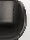 Feston Armlehnstuhl Kunstleder, 2er-Set in Schwarz, Detail
