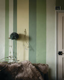 Wandfarbe - Breakfast Room Green No. 81 Wandfarbe Farrow & Ball