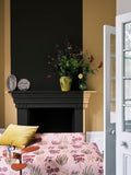 Wandfarbe - Cane No. 53 Wandfarbe Farrow & Ball