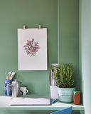 Wandfarbe - Breakfast Room Green No. 81 Wandfarbe Farrow & Ball