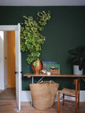 Wandfarbe - Duck Green No. W55 Wandfarbe Farrow & Ball