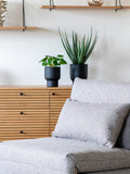 Marlow Schlafsofa Stoff, grau, Beine natur Sofa Living Nordic