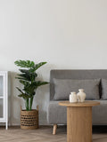 Marlow Schlafsofa Stoff, grau, Beine natur Sofa Living Nordic