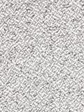 Milou Hocker in Grau, Detail