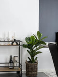 Vita Servierwagen Eiche-Optik, schwarz Rahmen/Eiche-Optik, schwarz Rahmen Servierwagen Living Nordic