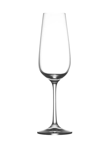 POMAX Sauvignon Champagnerglas