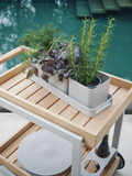 Tablett | Tablett 50x17x4,5 cm Aluminium greige/ 3x Pflanzgefäß 15x15x13 cm Aluminium greige - von Stern Möbel online kaufen bei LIVINGforme.