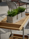 Tablett | Tablett 50x17x4,5 cm Aluminium greige/ 3x Pflanzgefäß 15x15x13 cm Aluminium greige - von Stern Möbel online kaufen bei LIVINGforme.