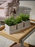 Tablett | Tablett 50x17x4,5 cm Aluminium greige/ 3x Pflanzgefäß 15x15x13 cm Aluminium greige - von Stern Möbel online kaufen bei LIVINGforme.