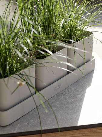 Tablett | Tablett 50x17x4,5 cm Aluminium greige/ 3x Pflanzgefäß 15x15x13 cm Aluminium greige - von Stern Möbel online kaufen bei LIVINGforme.