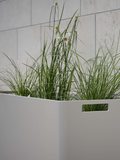 Pflanzgefäß | Pflanzgefäß 80x25x70 cm Aluminium greige - von Stern Möbel online kaufen bei LIVINGforme.