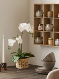 Moss Wandregal Kiefernholz Regal Living Nordic