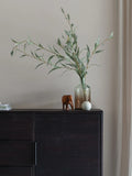 Webster Sideboard Dunkelbraun im Raum