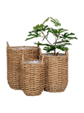 Hue Korb-Set Seegras, natur Korb Living Nordic