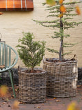 Indo Korb-Set Kubu-Rattan, natur Korb Living Nordic