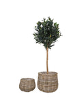 Pulo Korb-Set Kubu-Rattan, natur Korb Living Nordic