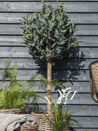 Bogor Korb-Set Kubu-Rattan, natur Korb Living Nordic