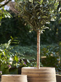 Moro Korb-Set Kubu-Rattan, natur Korb Living Nordic