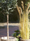Kalak Korb-Set Kubu-Rattan, natur Korb Living Nordic