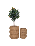 Sarbas Korb-Set Seegras, natur Korb Living Nordic