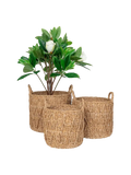 Krabi Korb-Set Seegras, natur Korb Living Nordic