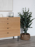 Aosta Korb-Set Bananenblatt, natur Korb Living Nordic
