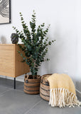 Erba Korb-Set Bananenblatt, natur Korb Living Nordic