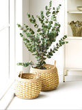 Strahan Korb-Set Seegras/Wasserhyazinthe, natur Korb Living Nordic