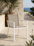 Soho Dining Chair