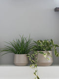 Trofa Blumentopf-Set Stahl, sand Dekotopf Living Nordic