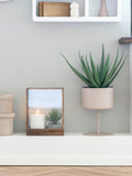 Trofa Blumentopf Stahl, sand Dekotopf Living Nordic