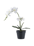 Orchidee künstlich Kunstpflanze Living Nordic