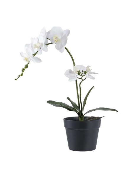 Orchidee künstlich Kunstpflanze Living Nordic