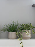 Deko-Gras Kunstpflanze Living Nordic