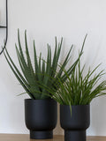 Deko-Gras Kunstpflanze Living Nordic