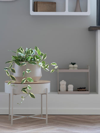 Hoya künstlich Kunstpflanze Living Nordic