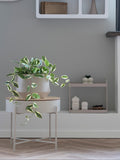 Hoya künstlich Kunstpflanze Living Nordic