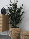 Eucalyptus Kunstbaum Kunstpflanze Living Nordic