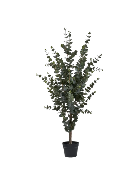 Eucalyptus Kunstbaum Kunstpflanze Living Nordic