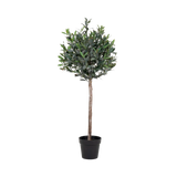 Olivenbaum künstlich Kunstpflanze Living Nordic 120 cm
