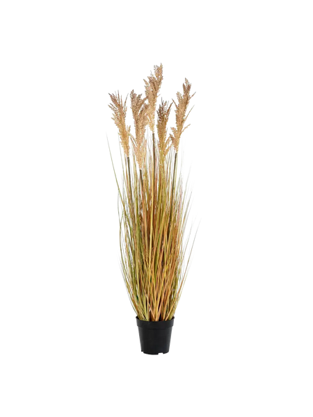 Sorghum Deko-Gras Kunstpflanze Living Nordic