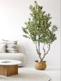 Olivenbaum künstlich – 220 cm Kunstpflanze Living Nordic