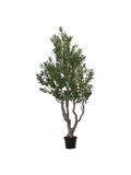 Olivenbaum künstlich – 220 cm Kunstpflanze Living Nordic