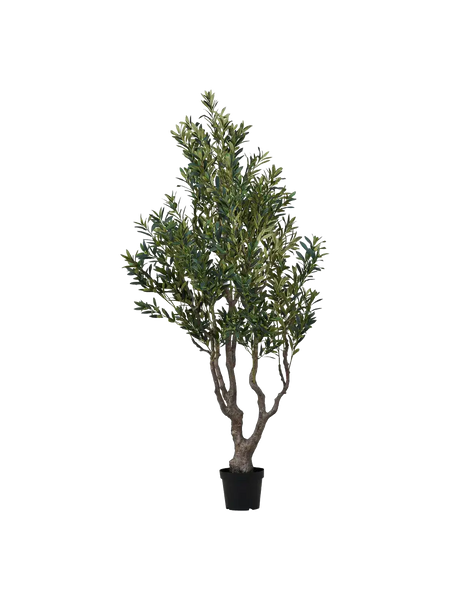 Olivenbaum künstlich – 220 cm Kunstpflanze Living Nordic