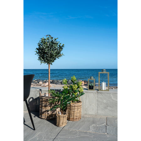 Feige Kunstbaum Kunstpflanze Living Nordic