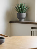 Agave künstlich Kunstpflanze mit pot Kunstpflanze Living Nordic